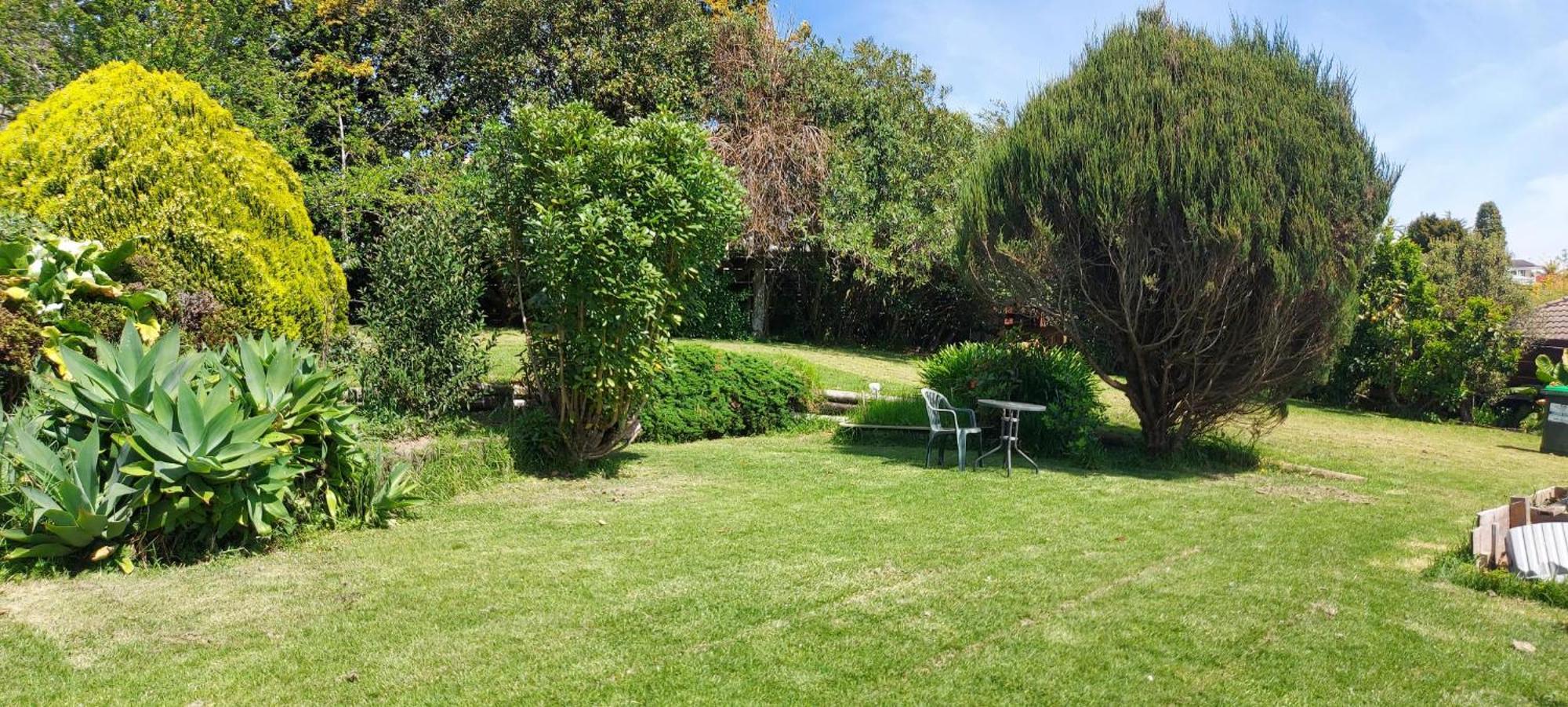 Haley'S Cabin Tauranga Exterior photo