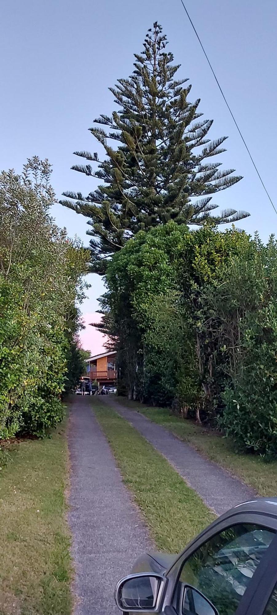 Haley'S Cabin Tauranga Exterior photo