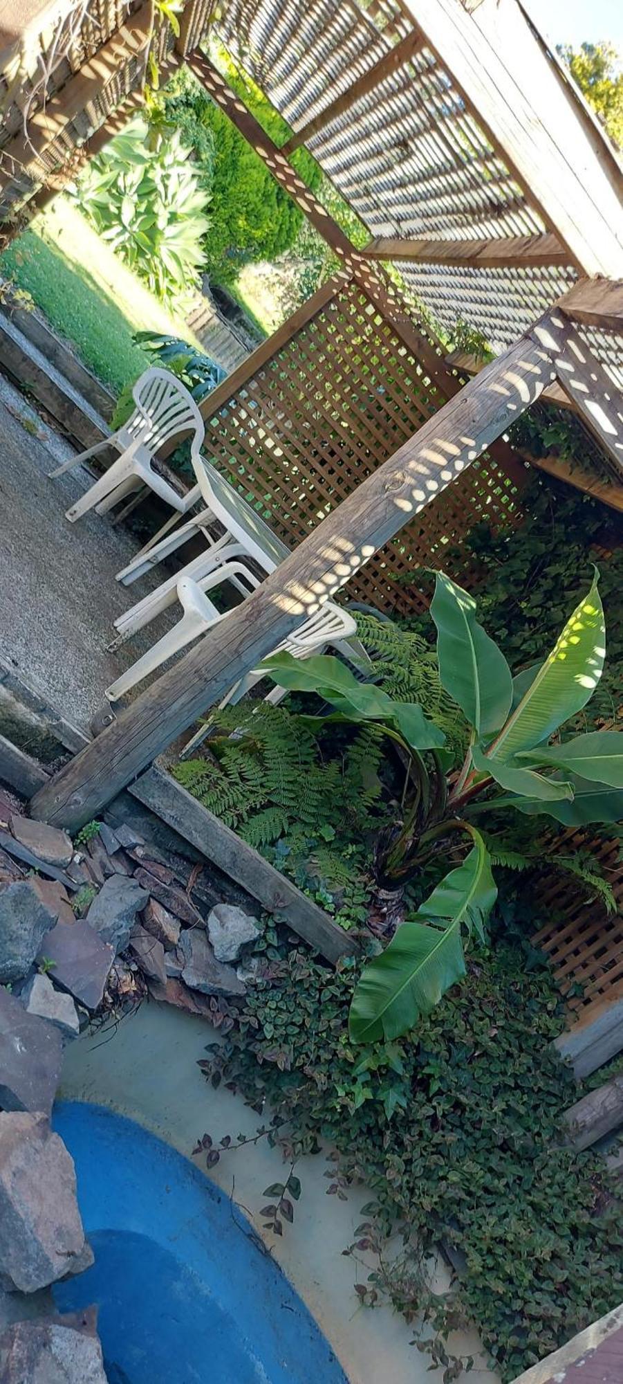 Haley'S Cabin Tauranga Exterior photo