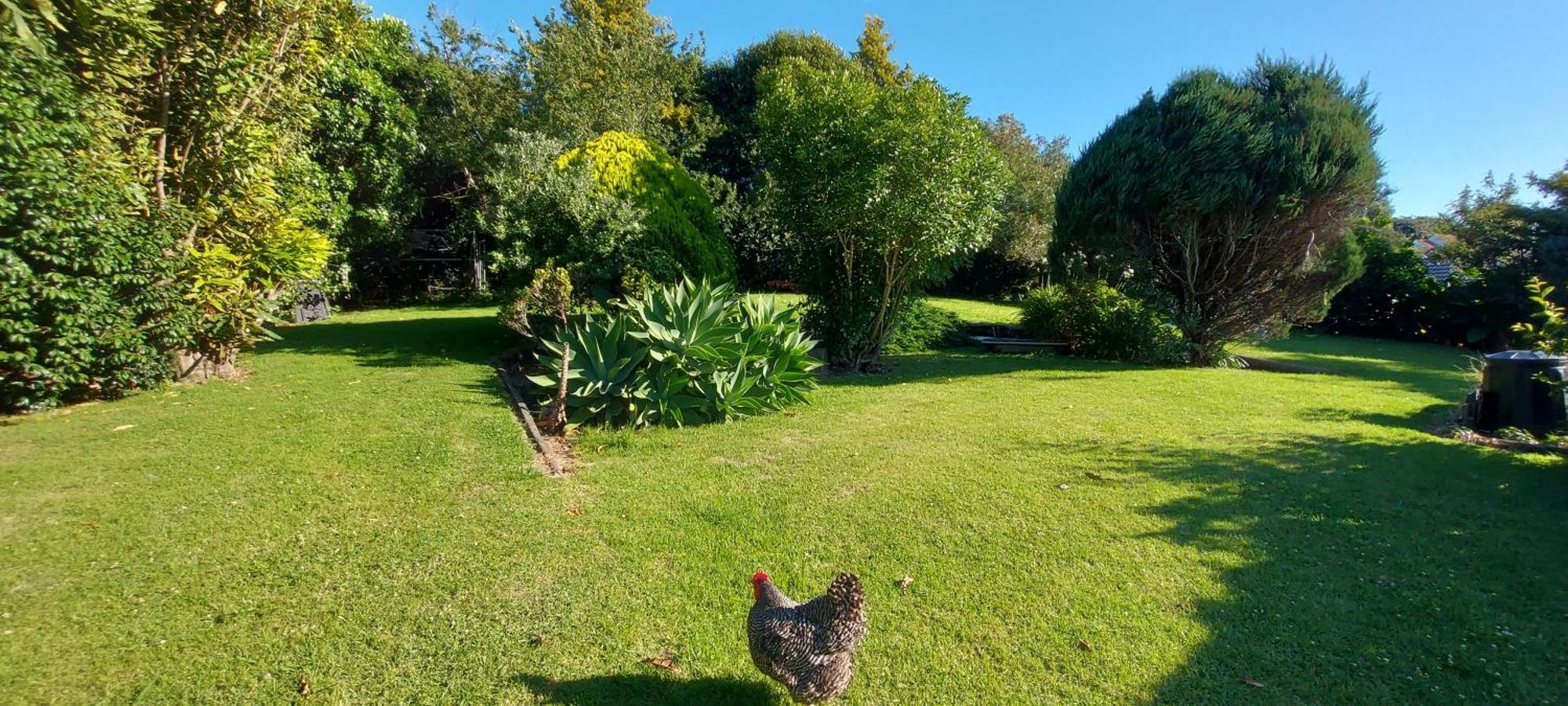Haley'S Cabin Tauranga Exterior photo